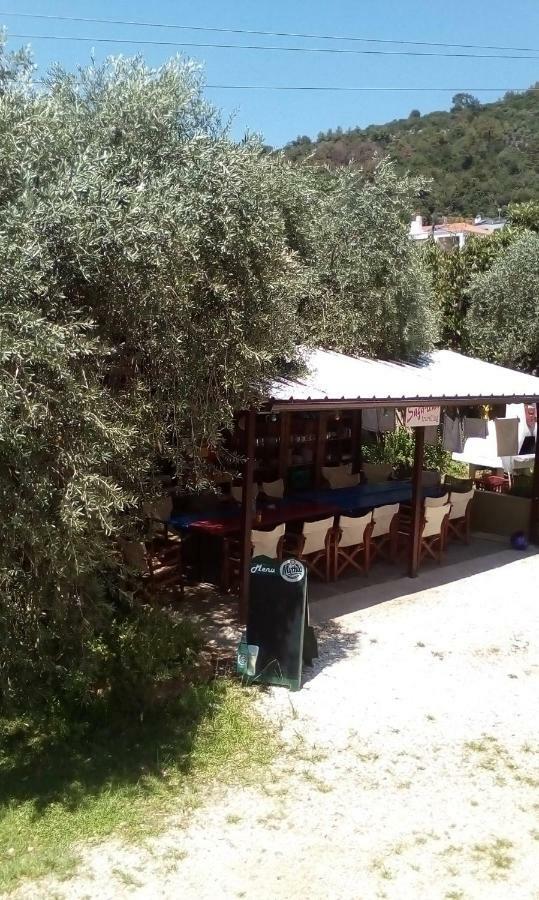 Hotel George Khrysi Ammoudia Eksteriør bilde
